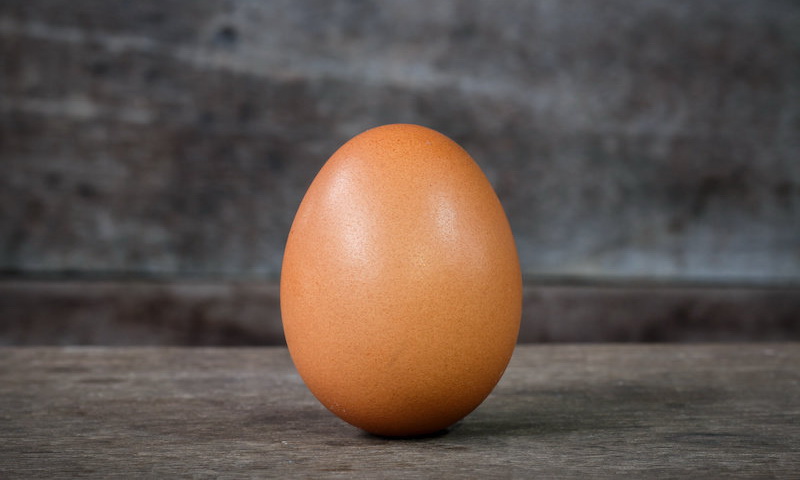 Persamaan Universal untuk Bentuk Telur